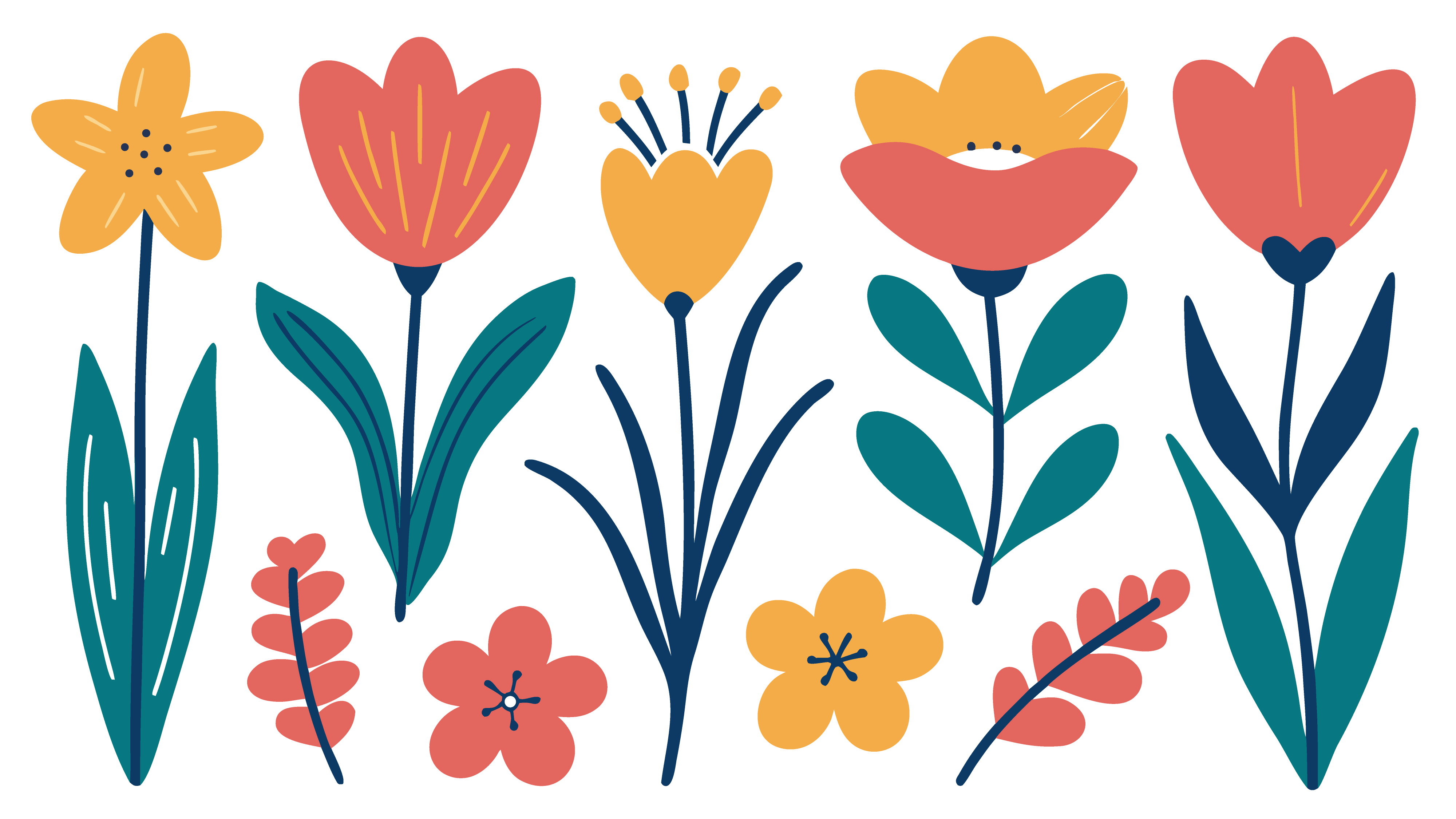 Set of colorful flat vector flowers for spring floral design and decorative botanical elements illustration