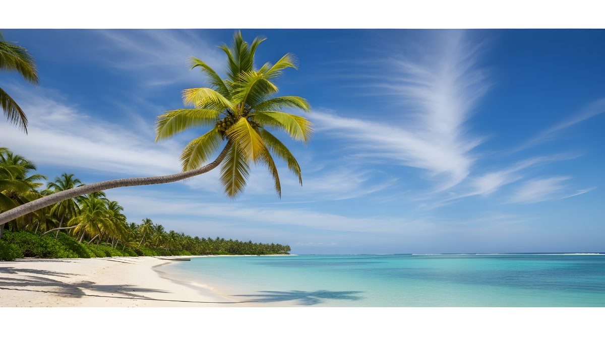 Tropical beach landscape with leaning palm tree on white sand under clear blue sky for travel stock photo