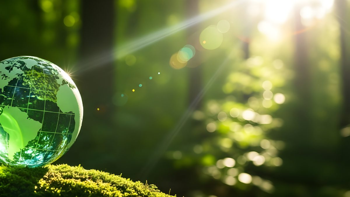Glass earth globe on mossy forest floor with bright sunlight lens flare for environmental concept stock photo
